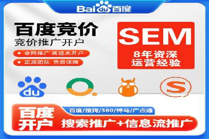 SEM推广策略：成功案例分享与启示